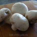 Как приготовить грибы Фото